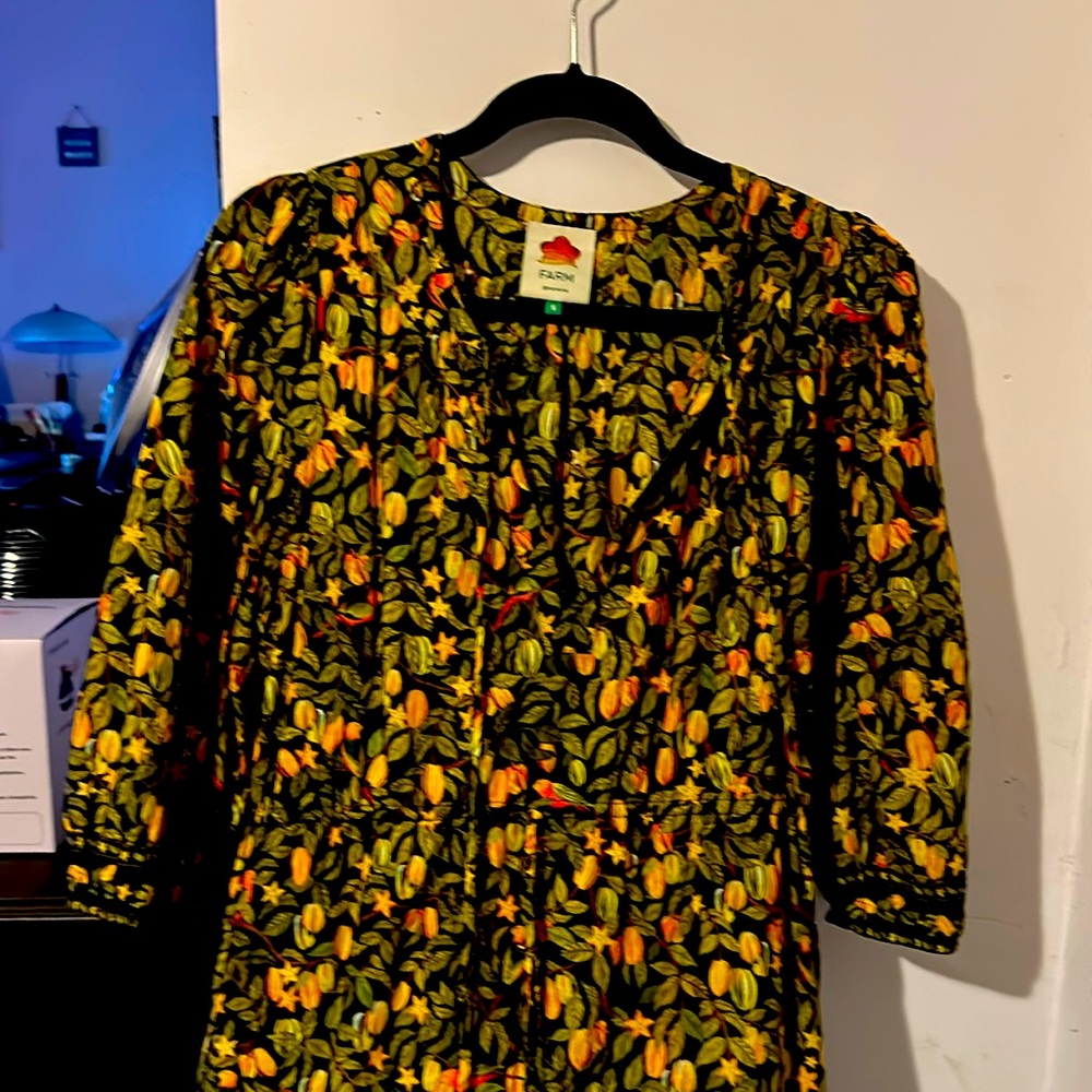 Farm Rio autumn colored long flowy dress